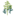terenkul.ru favicon