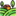 terrachel.ru favicon