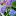 terraflores.ru favicon