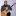 teslov-music.ru favicon