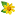 thai-shai.ru favicon