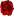 the-rose.ru favicon