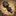 theants.ru favicon