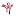thoracic.ru favicon