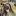 tinafoto.ru favicon