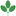 todicamp.ru favicon
