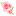 tokyorose.ru favicon