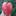 tomatniymir.ru favicon