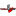 toreadoor.ru favicon