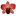 tourinsingapore.com favicon