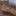 trendtavar.ru favicon
