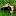 trimmerpro.ru favicon