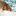 trofejnaya-rybalka.ru favicon