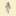tsvetuschiesady.ru favicon
