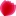 tulpan-optom.ru favicon