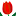 tulpan.su favicon