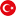 turkish-tv.ru favicon