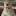 umka-rostov.ru favicon
