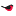 urbananimal.ru favicon