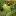 usadbaplus.ru favicon