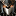 usboptom.ru favicon