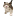 utichka.ru favicon
