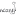 vasilekspb.ru favicon