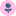 venusflowers.ru favicon