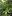 ves-les.ru favicon