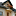 vidaru.ru favicon