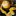 videoartdaur.ru favicon