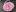 vip-bukety.ru favicon