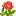 vse-tsveti.ru favicon