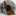 vst-lestnica.ru favicon