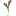 vvpsy.ru favicon