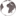 wctcorp.ru favicon