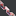 welsh-creative.com favicon