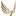 wingsdreamfest.ru favicon