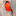 winter-tires.ru favicon