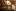 worldcollections.ru favicon