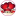 www-avalansh.ru favicon