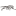 xktattoo.ru favicon