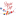 yachtgift.ru favicon