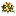 yarflower.ru favicon