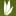 yogastudio-nsk.ru favicon