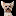 yorki-penza.ru favicon