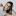 yurevaphoto.ru favicon