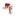 yuristnasdelke.ru favicon
