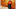 zaikanieblog.ru favicon