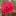 zapiski-agronoma.ru favicon
